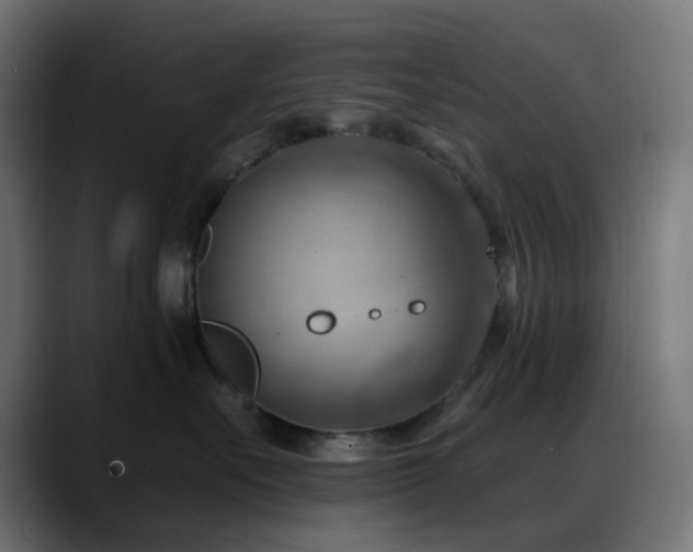 X0000088610527200705251223