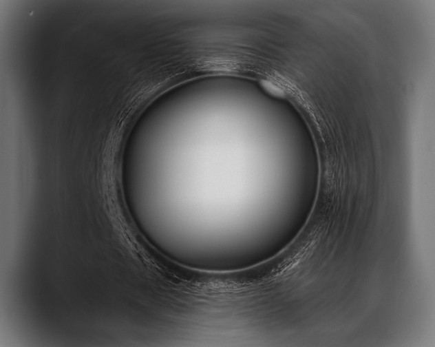 X0000088610529200705251222