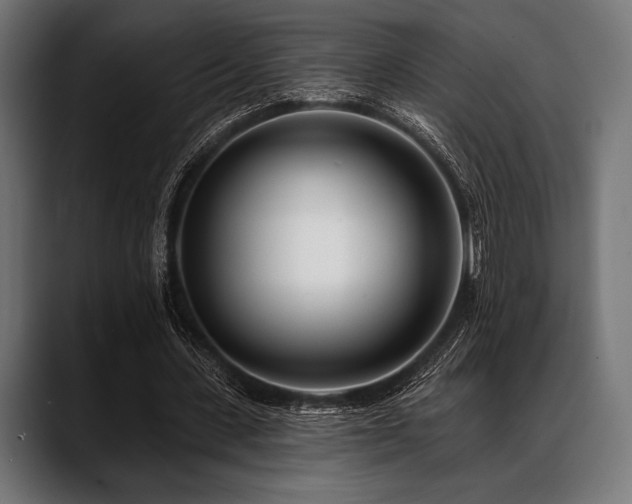 X0000088610531200705251222