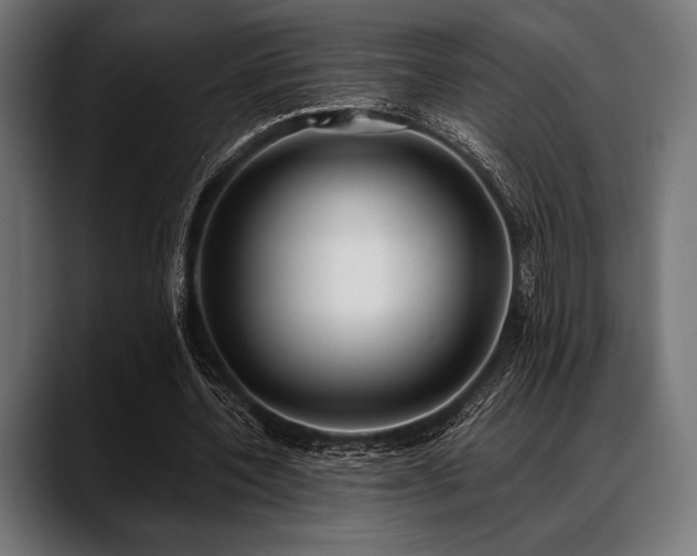 X0000088610532200705251223