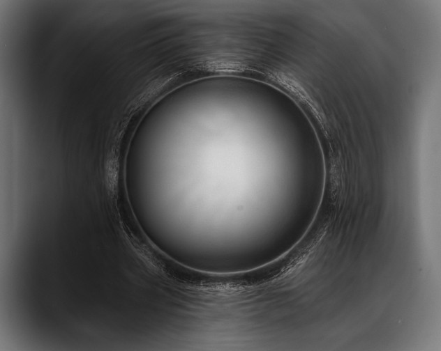 X0000088610533200705251223