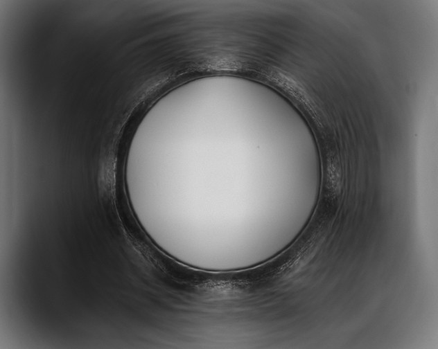 X0000088610534200705251223