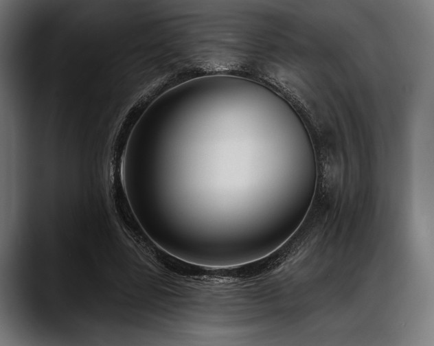 X0000088610539200705251223