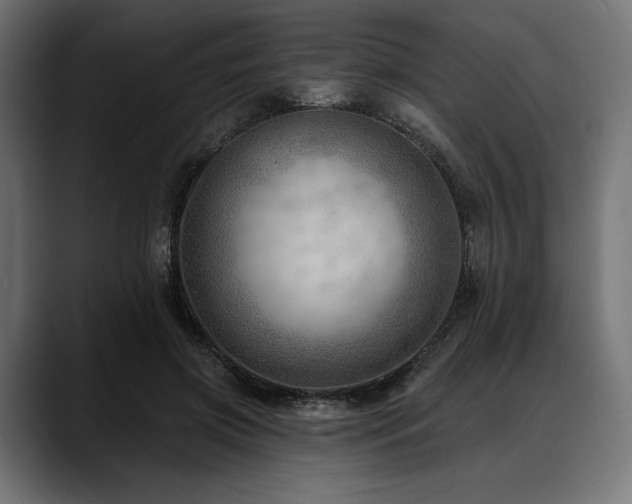 X0000088610549200705251223