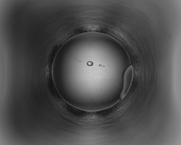 X0000088610551200705251223