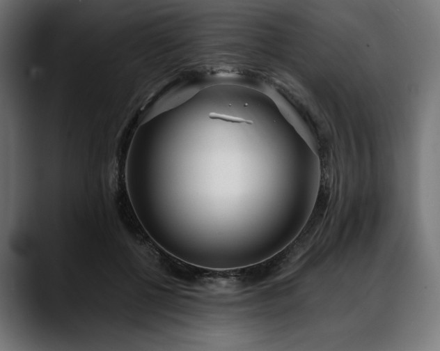 X0000088610552200705251223