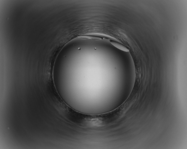 X0000088610553200705251223