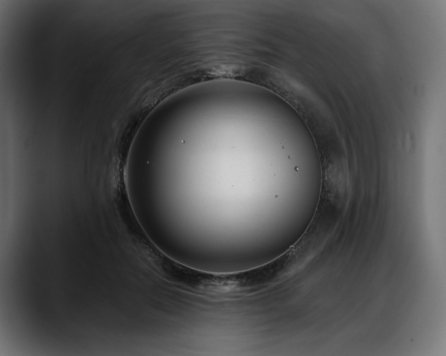 X0000088610554200705251223