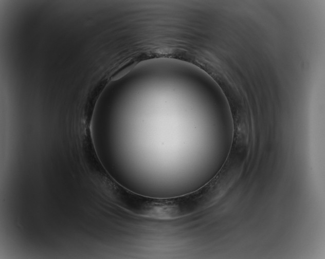 X0000088610555200705251223