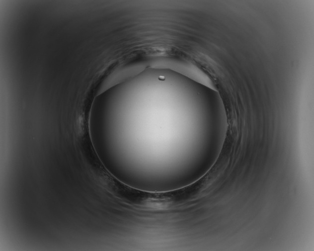 X0000088610556200705251223