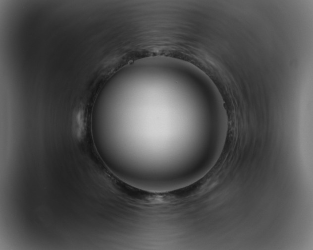 X0000088610558200705251223