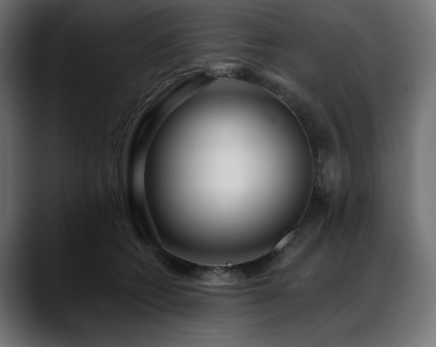 X0000088610562200705251223