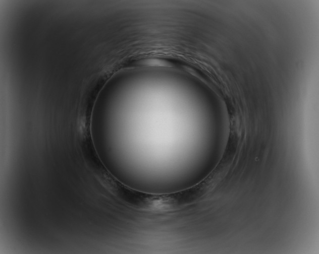 X0000088610564200705251223