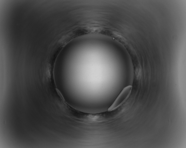 X0000088610570200705251223