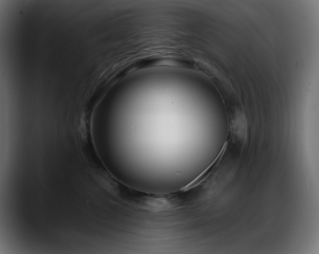 X0000088610572200705251223