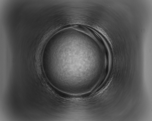 X0000088610577200705251222