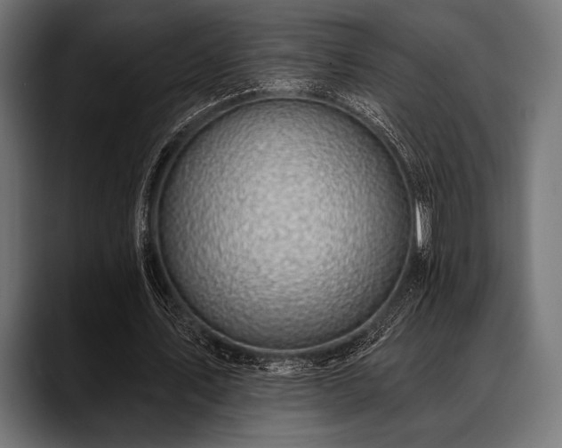 X0000088610579200705251222