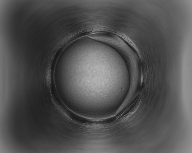 X0000088610581200705251222