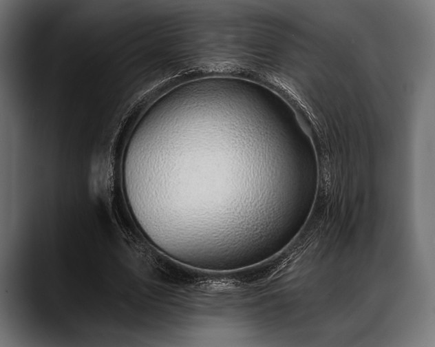 X0000088610583200705251222