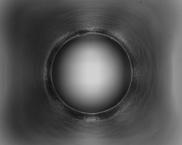 X0000088610587200705251222