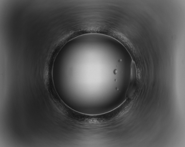 X0000088610588200705251222