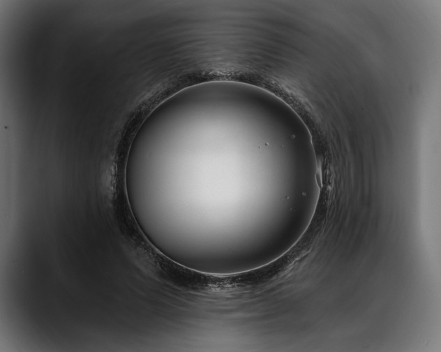 X0000088610591200705251222