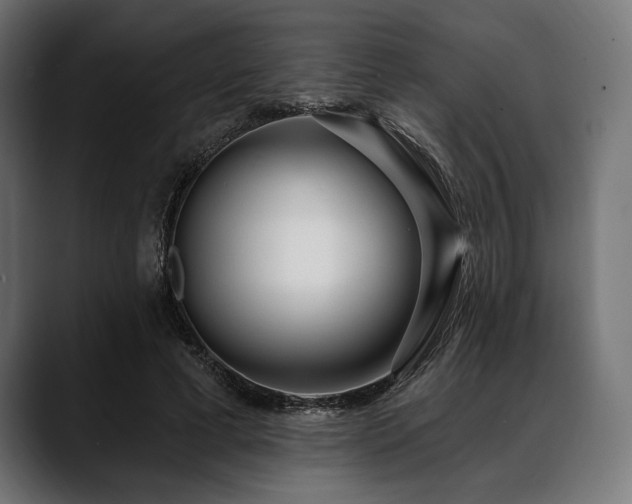 X0000088610593200705251222