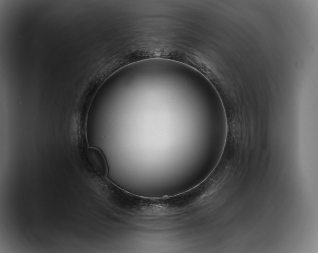 X0000088610594200705251222