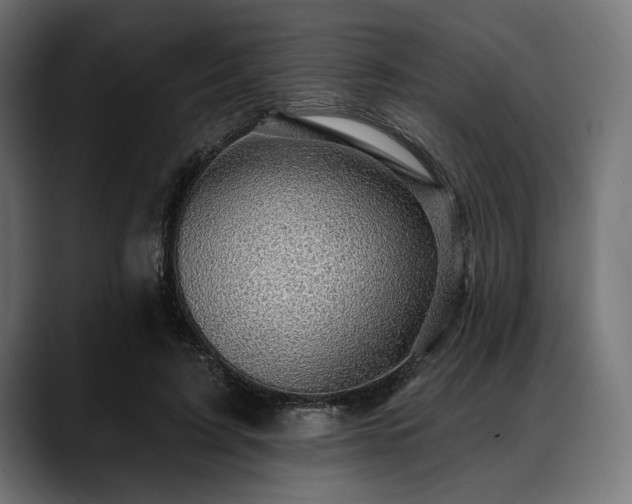 X0000088610595200705251222