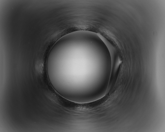 X0000088610596200705251222