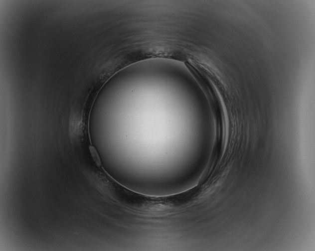 X0000088610597200705251222