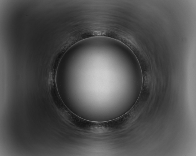 X0000088610598200705251222