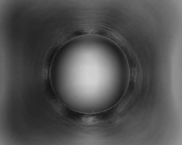 X0000088610602200705251222