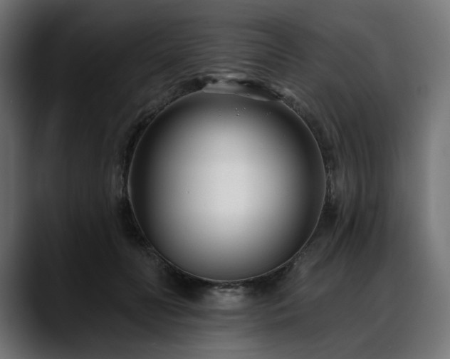 X0000088610606200705251222