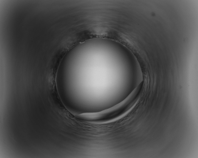 X0000088610609200705251222