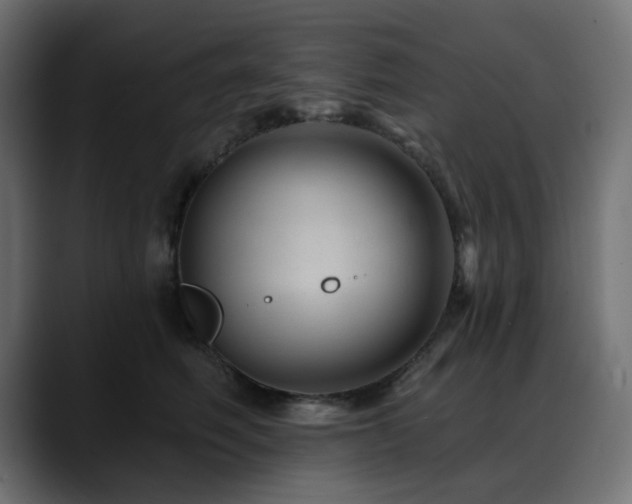 X0000088610614200705251222