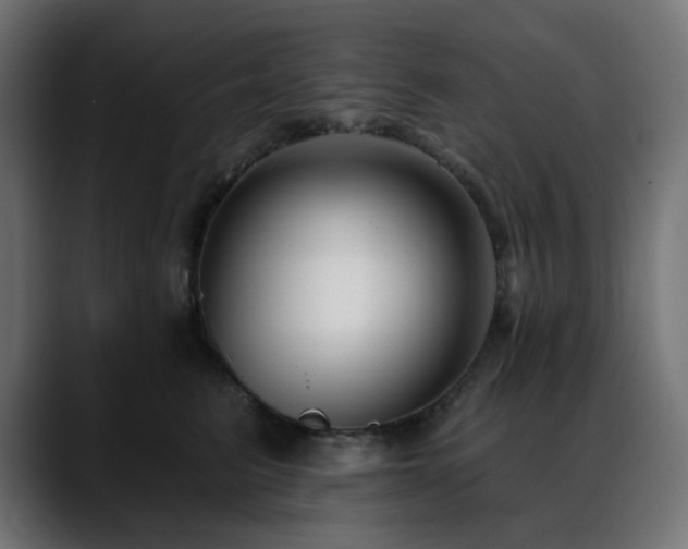 X0000088610615200705251222