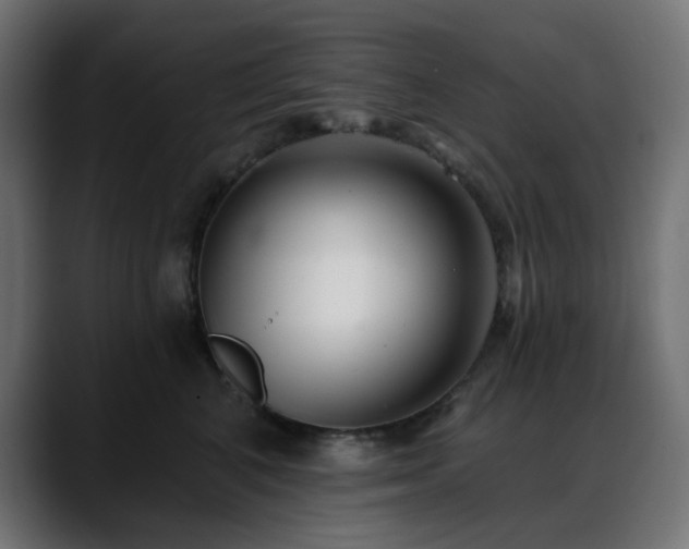 X0000088610616200705251222