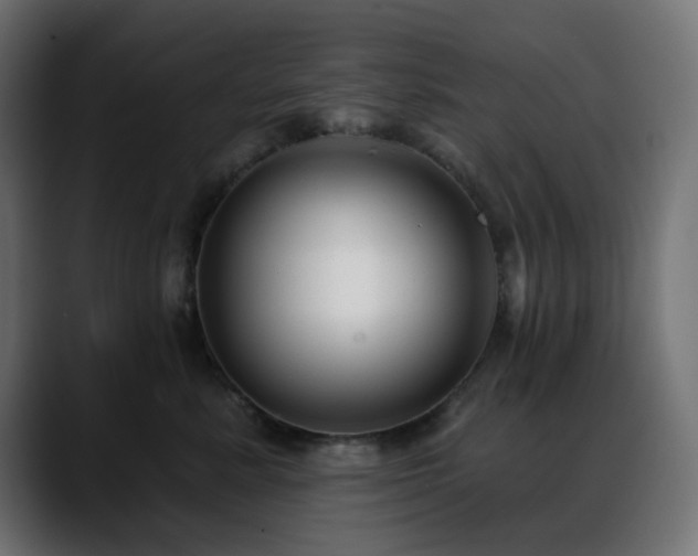 X0000088610619200705251222