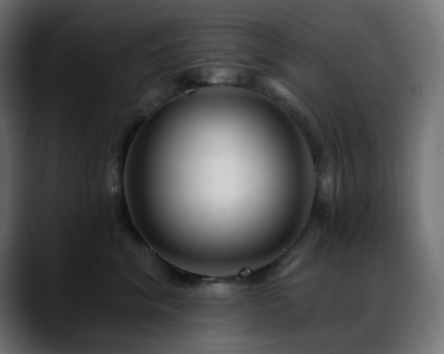 X0000088610620200705251222