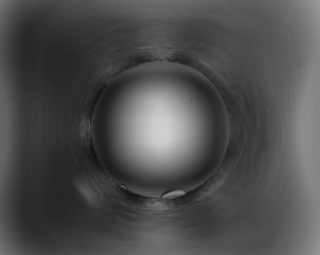 X0000088610624200705251222