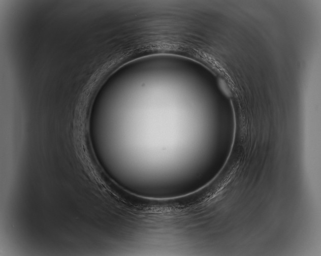 X0000088610625200705251221