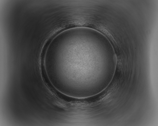 X0000088610626200705251221