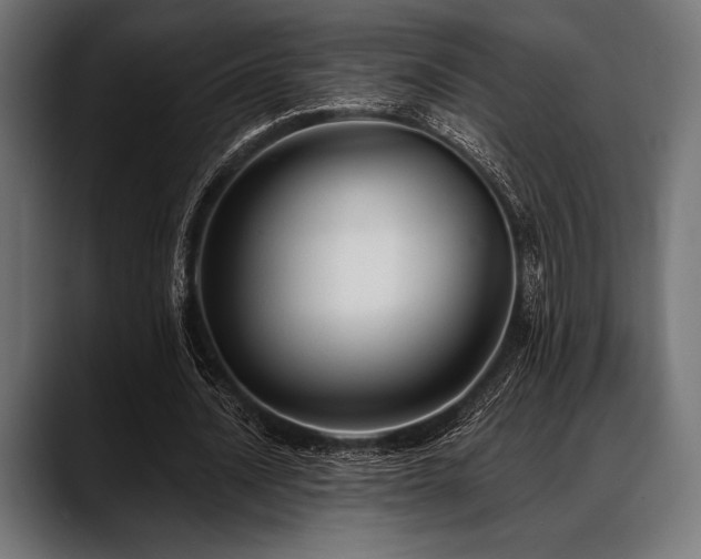 X0000088610628200705251221