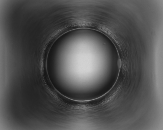 X0000088610629200705251221