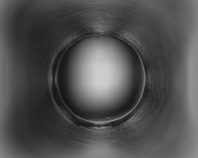 X0000088610630200705251221