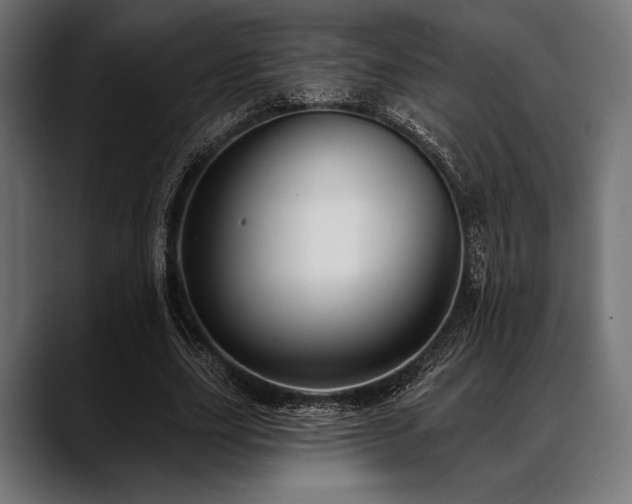 X0000088610631200705251221