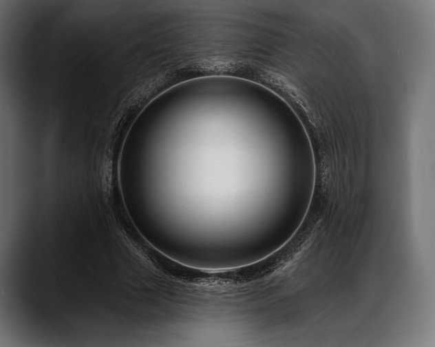 X0000088610633200705251221