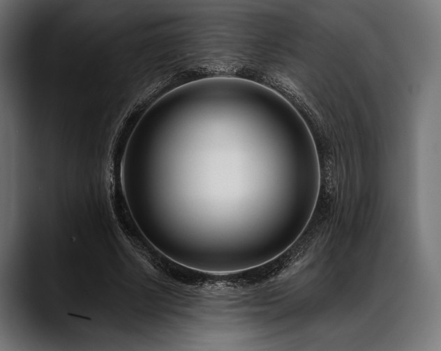 X0000088610634200705251221