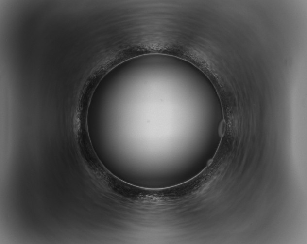 X0000088610635200705251221